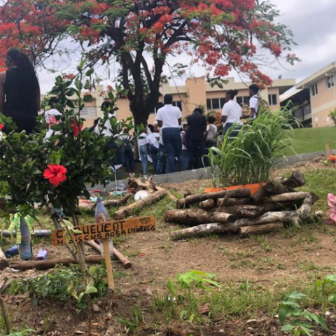 Snapshot of the garden