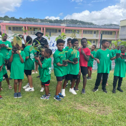 Tree planting at the Esperance school