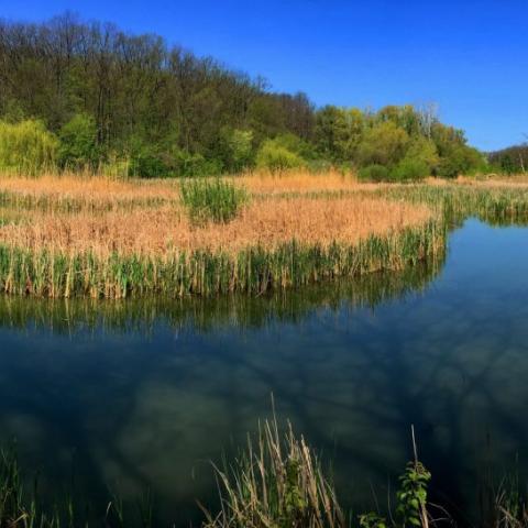 Scenic view of the Ciric lake 