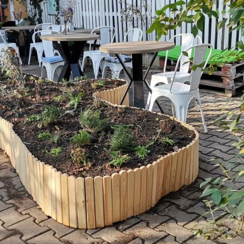Terrace garden with raised beds 