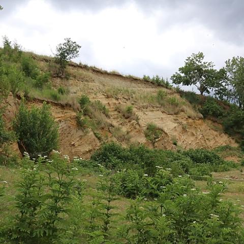 view of the abandoned sandmine turned European bee-eater habitat