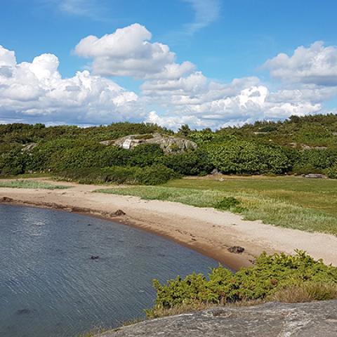 A sandy beach, made accessible by a wooden stair case leading to it. Grass and trees in the background. 