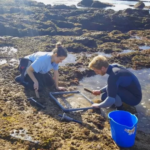 This image shows biologists taking samples.