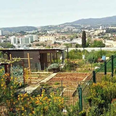 Picture of the community garden Parc de la Moline in Marseille, part of the city-wide initiative to develop comminity gardens