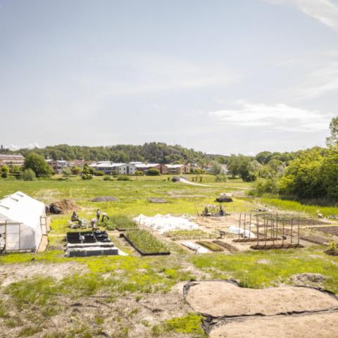 An overview of the urban farm, showing a greenhouse and several differend growing beds of different sizes. Houses and trees are in the background.