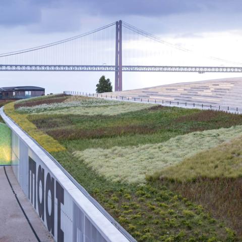 MAAT Green Roof