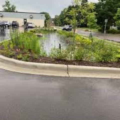 PARC rain gardens soaking up stormwater