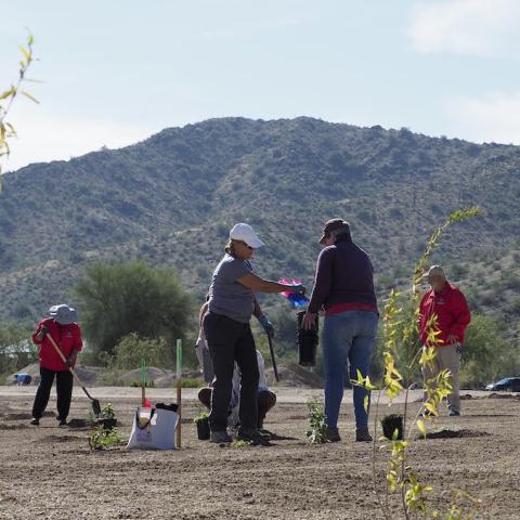 An overview photo of individuals planting the pollinator garden. 