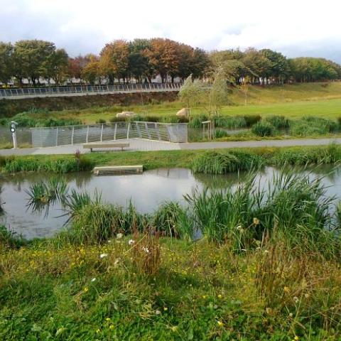 Poppintree Park