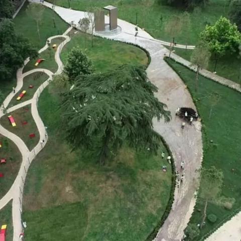 Newly installed Dog Park (right) and walkays - visible issues with rainwater drainage 