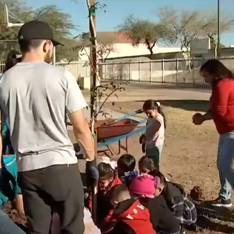 Overview of volunteers and students planting a tree on the schoolground 