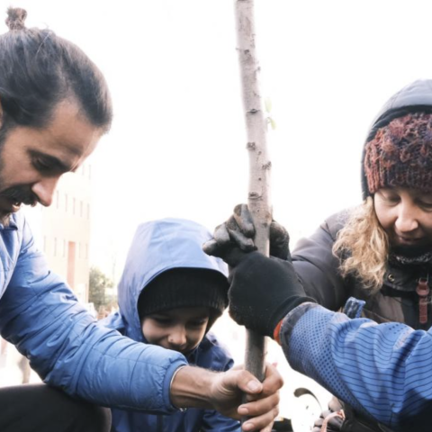 MedTOWN in Portugal: a community garden for better social cohesion