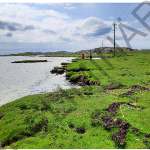 A photo of the grass covered salt meadow and parts of the water, two people standing by the water and an electric line running across.