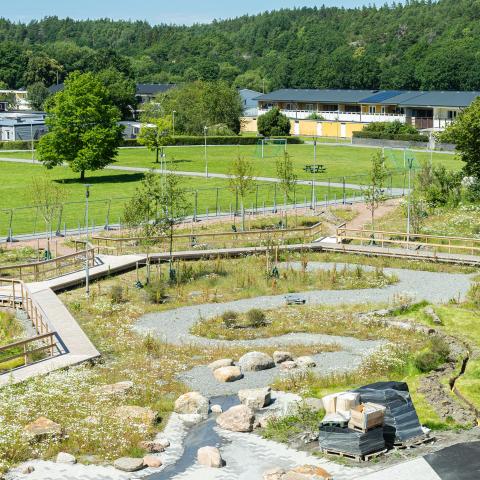 Photo of the finished schoolyard from above. A currently empty, meandering river surrounded by meadow, grass and small trees, and a wooden path around it. 
