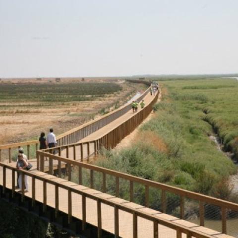 Tagus Estuary Riverside Linear Park
