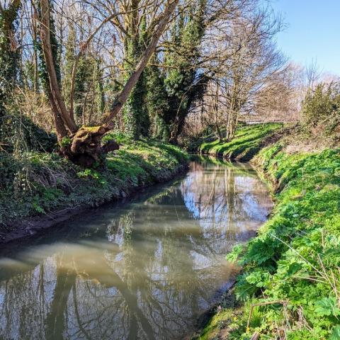 The River Stour