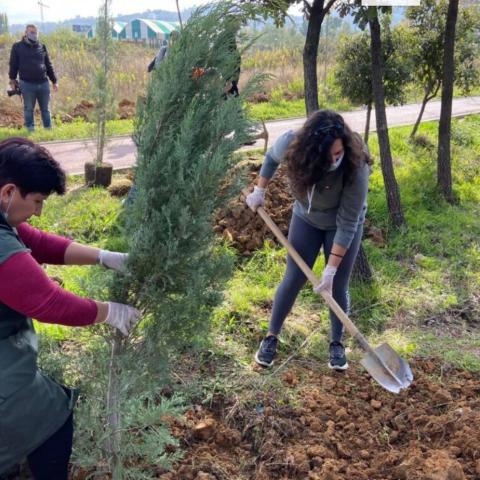 Tree Planting action at Great Lake Park in 2020