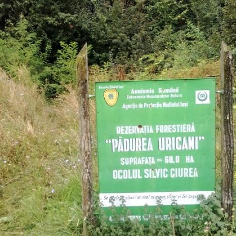 Informative bulletin on protected area 