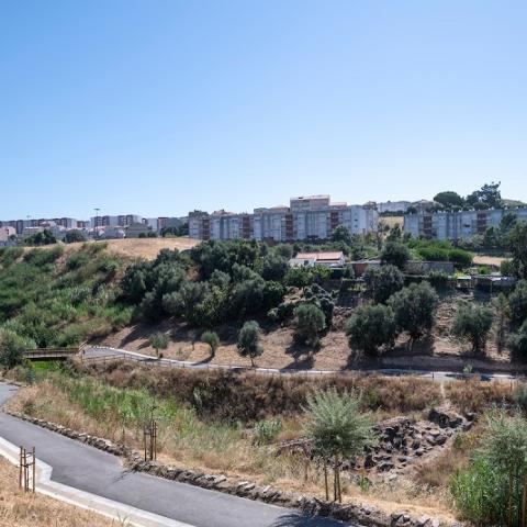 The image shows the park.