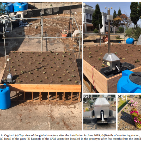 photo of the green roof project