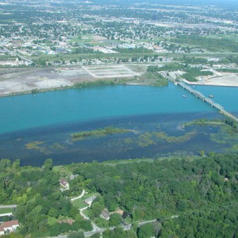 Hennepin Marsh
