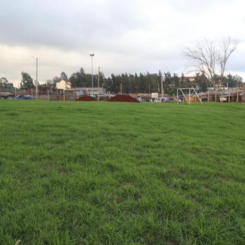 Park-rehabilitation