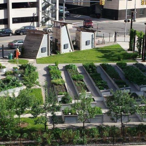 Lafayette Greens 