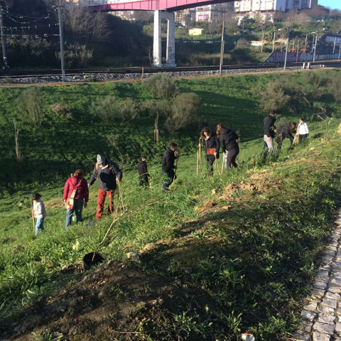Tree Planting Activity at Vale de Chelas