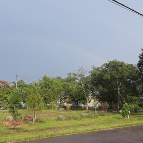 An overview of the project area for Treetroit 