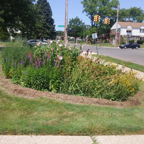 St. Suzanne Cody-Rouge Community Ctr. Rain Garden