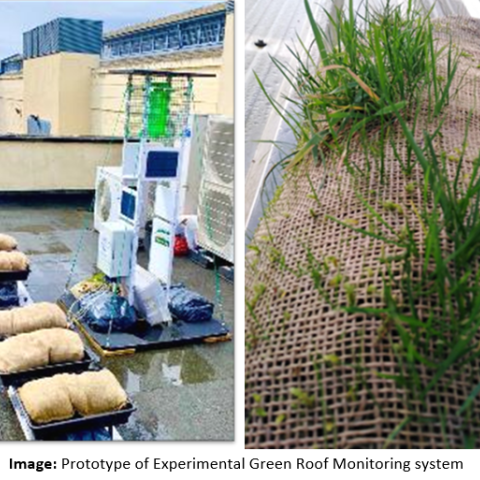 Green Roof