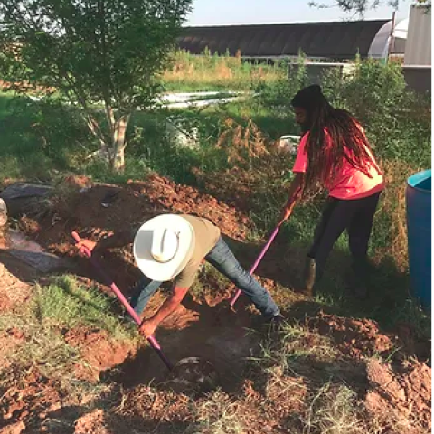 Food Forest Cooperative