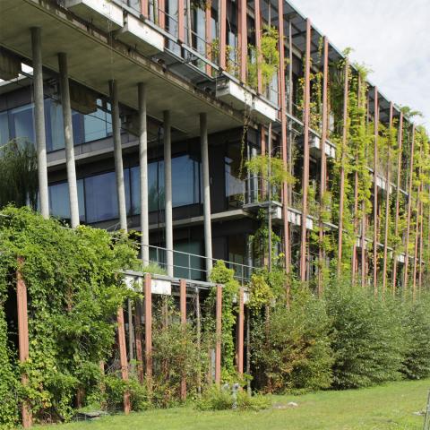 PHYSICS INSTITUTE