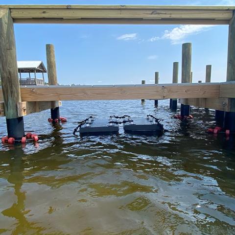 The Eagle Reef project