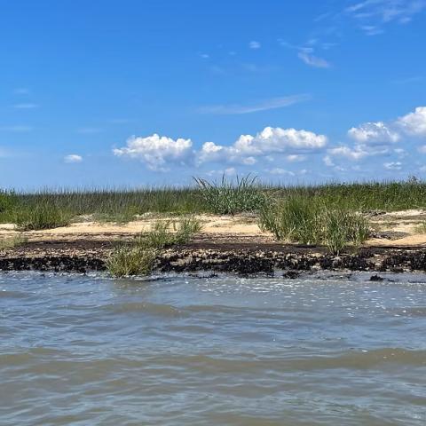 This photo shows coffee Island eroding shoreline before construction in 2022