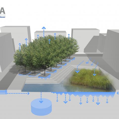 Illustration of the RISA Project (2012)