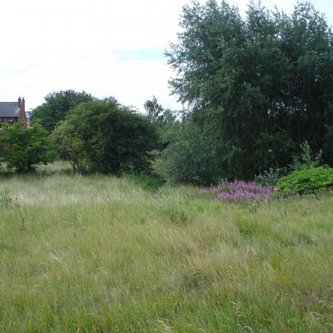Balne Lane Fields Before the Project