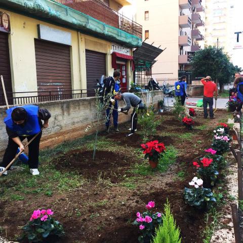 Care of the Public Greenery via Azolino Hazon A Brancaccio