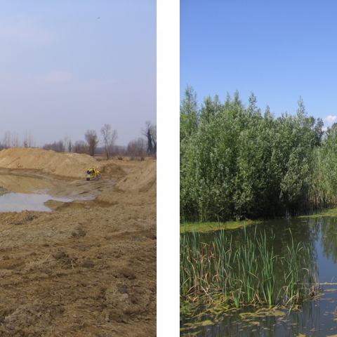 Draining basin of the Venice Lagoon 