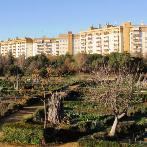 Ecological and Social Orchards (2010)