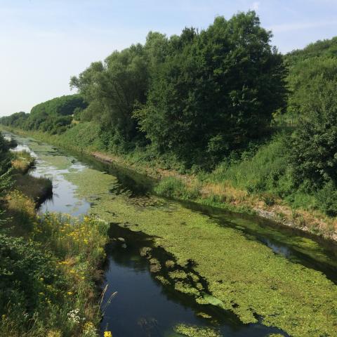 Restoration of the Emscher River