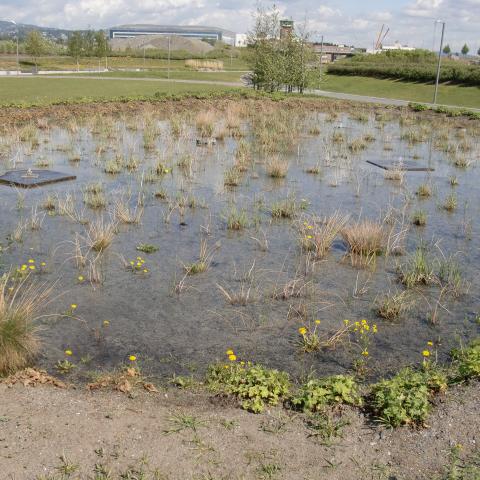 Fornebu Stormwater Management System: Sand Filtration (2011)