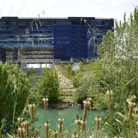 Green and Blue Urban Network (2013)