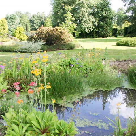 Redevelopment of the Harris Garden (2009)