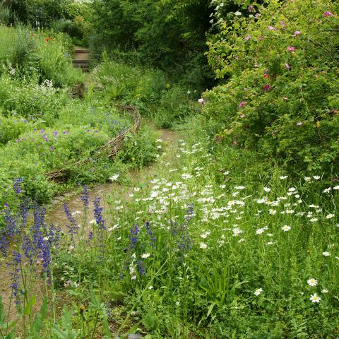 Nature Show Garden in Wachtberg (2014)