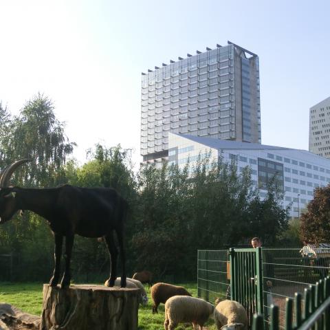 Dondaines Park