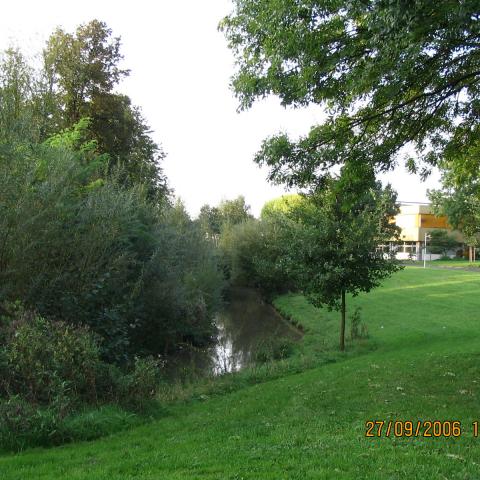 Renaturalization of the Rheindorfer Stream (From Matthias Franke 2006)