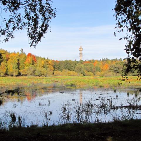 Royal National City Park 
