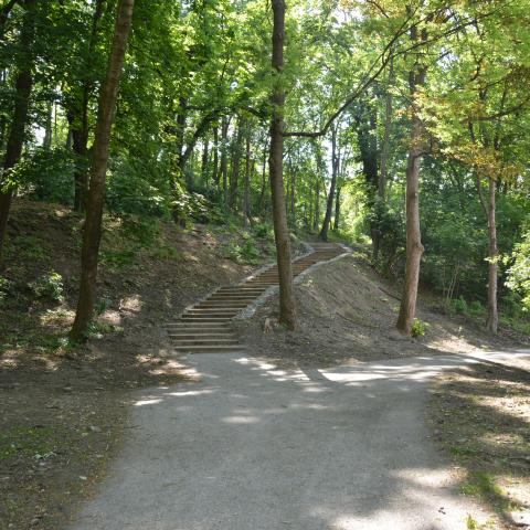 Interconnected Public Paths at Chartreuse Park (2017)