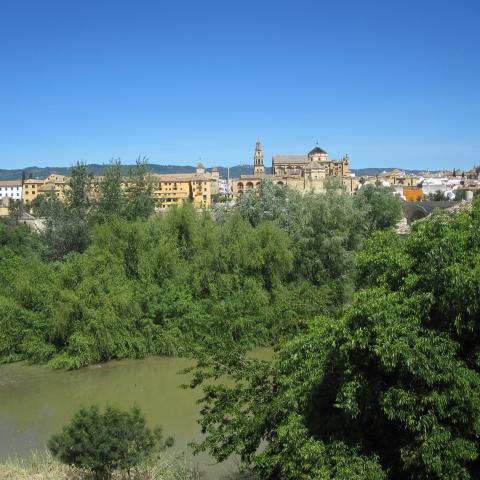 Sotos de la Albolafia Natural reserve (2014)